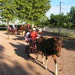 Le Domaine Du Cedre
