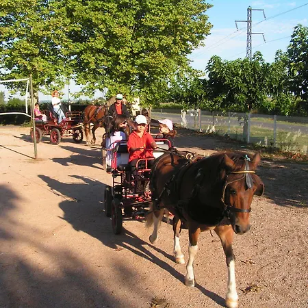Le Domaine Du Cedre
