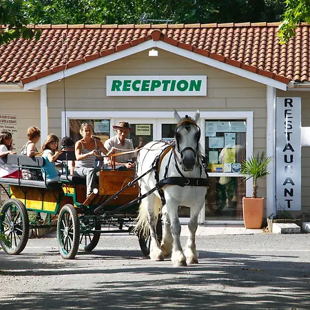 Kompleks wypoczynkowy Le Domaine Du Cedre 4*